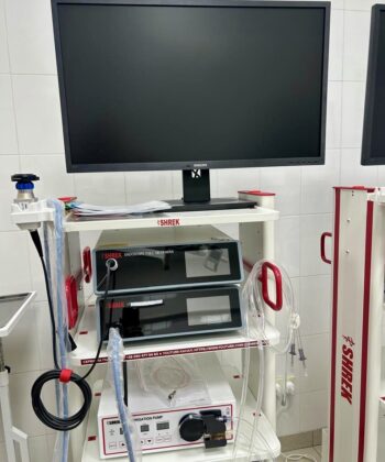 168a6876-c88a-47c3-aa30-d2055bbb327b